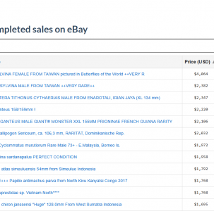 ANNOUNCEMENT, NEW TOOL : the Insect Price Checker