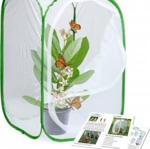 FOR SALE, Butterfly Breeding Cage Terrarium Pop-up