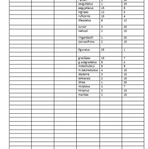 FOR SALE, giant cerabycidae collections sale!