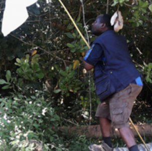BAD TRADE WITH, Beware of dishonest Pasiensi Kayombo