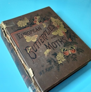 FOR SALE, European Butterflies and Moths by W.F. Kirby