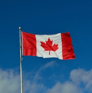 WANT TO BUY, Various eggs in Canada