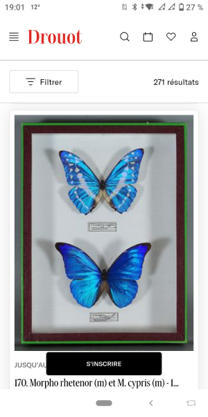 ANNOUNCEMENT, New entomology public auction in Paris 17 June 14h
