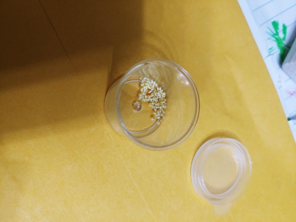 FOR SALE, Automeris Io Moth eggs