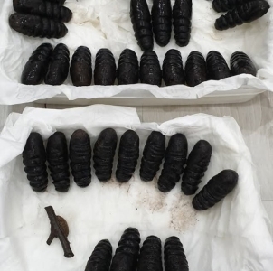 FOR SALE, Pupae: Gonimbrasia zambesina and Eacles imperialis