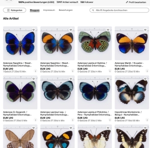 EBAY, SMALL EBAY AUCTION - JULY 2025