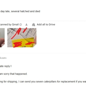 BAD TRADE WITH, Response to Alex Baranwoski.