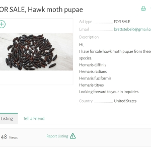 ANNOUNCEMENT, BEWARE - SCAMMERS
