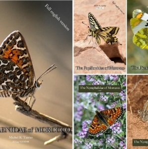 FOR SALE, The Butterflies of Morocco FREE