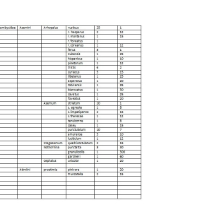 FOR SALE, giagant colection cerambycidae 2