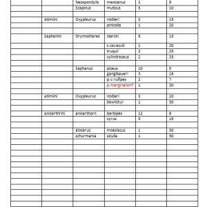 FOR SALE, giagant colection cerambycidae 3