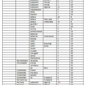 FOR SALE, giagant colection cerambycidae