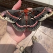 Seller Thumbnail