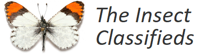 The Insect Classifieds | Insectnet